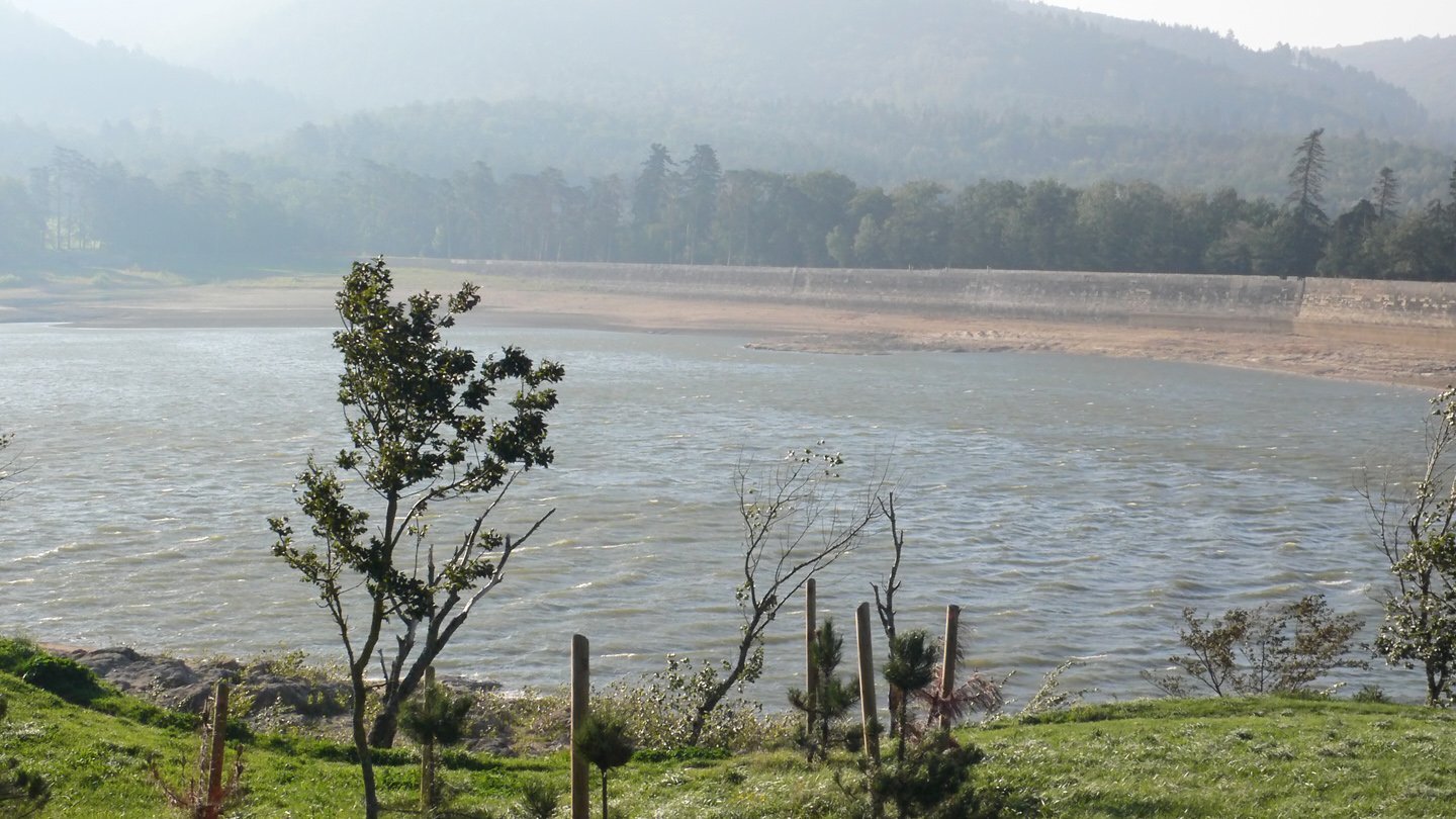 activities and surrounding area seasonal rentals lake